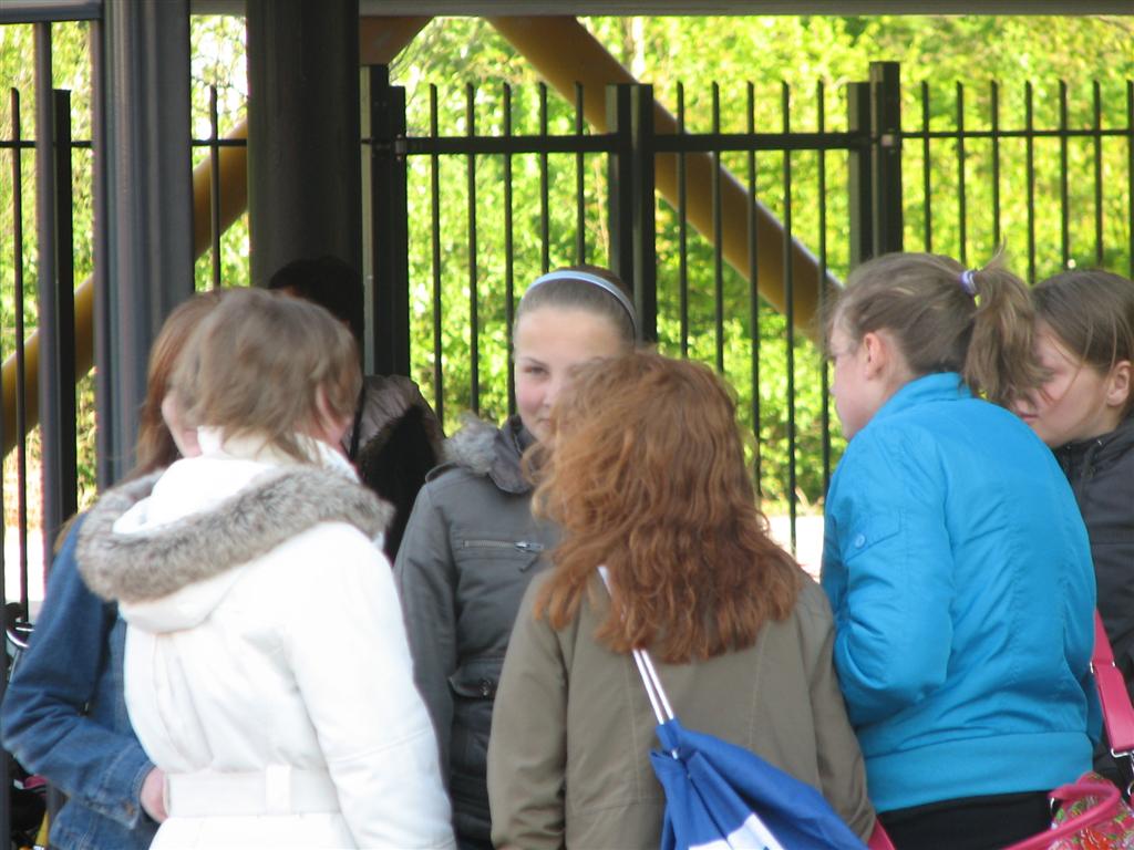 IMG_9729 (Large).jpg